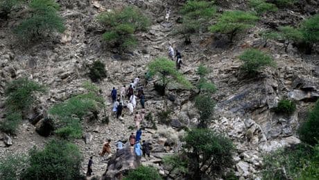 Aid agencies tell countries to fund Afghanistan after earthquake