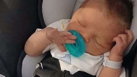 One-week-old baby mauled to death by family's husky-pit bull mix at home