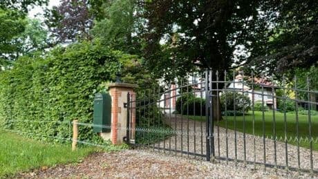 Hattem kampt met overlast door wilde zwijnen
