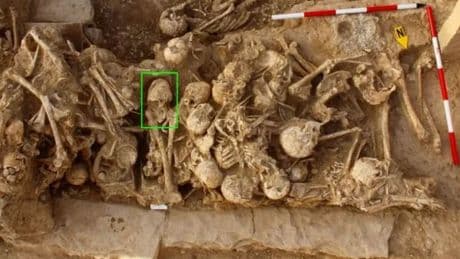 Grim ‘cone-headed’ skull that was BASHED IN 6,200 years ago found among mass grave as experts probe brutal death