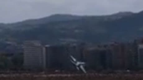 Military jet performs evasive manoeuvre to avoid flock of birds in its path at Spanish festival