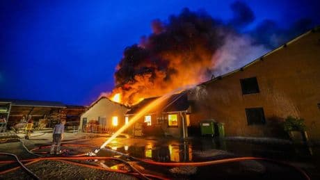 Grote brand op boerenbedrijf Vessem, duizenden kippen dood