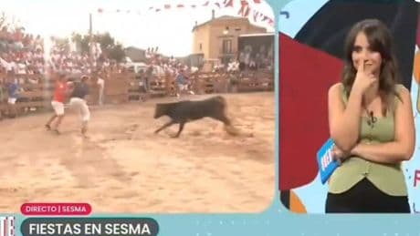 Una vaquilla embiste a un reportero de ETB en directo durante las fiestas de Sesma