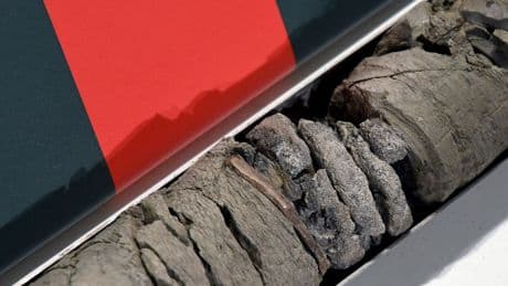 Denver Museum Finds a Dinosaur Fossil Under Its Parking Lot