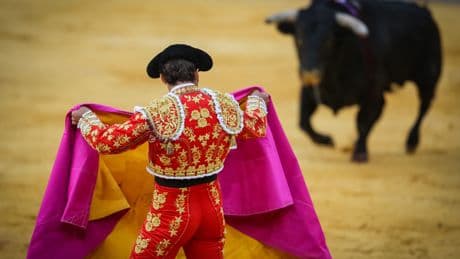 ¿Por qué vuelven los toreros?