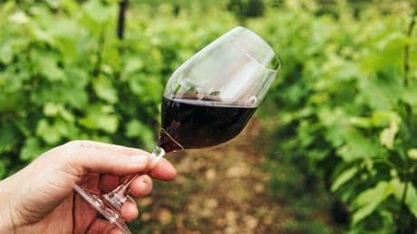 Droits de douane : « Le vin est sacrifié au profit du business industriel et pharmaceutique »