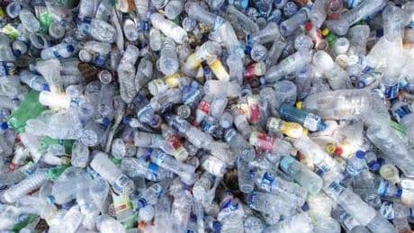 Coripet, nel 2024 raccolte oltre 165mila tonnellate di bottiglie in Pet