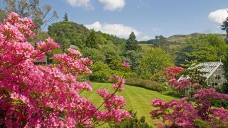 This Scottish garden is a treasure-trove of plants from exotic locations