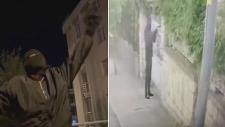 İstanbul'u birbirine katan çeteye operasyon