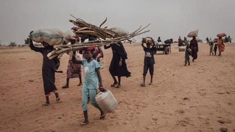 En 2024, plus de 83 millions de personnes ont été déplacées dans le monde