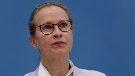 Frauke Brosius-Gersdorf: Kandidatur oder Rückzug? Bürger antworten