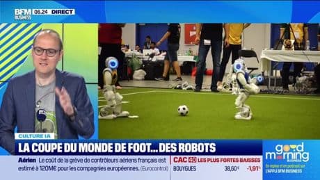 Culture IA : La coupe du monde de foot... des robots, par Anthony Morel - 11/07