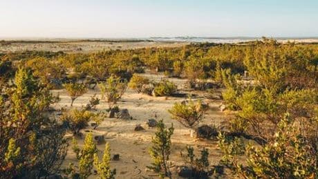 Carolina W. in Australien: Wie überlebt man zwölf Tage im Outback?
