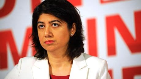 Immigration minister dismisses Reform immigration plans as ‘gimmicks’