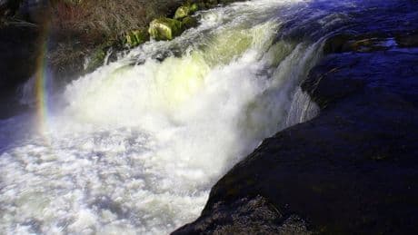 1 killed and 2 missing after a group is swept over an Oregon waterfall