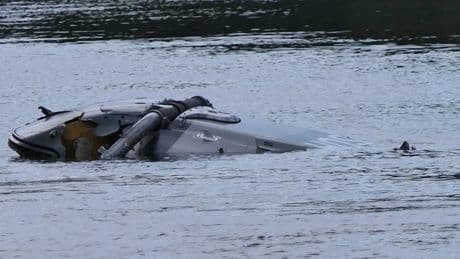 Sachsen: Hubschrauber stürzt in Fluss