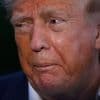 Kongress, Gerichte, Bildung: So sabotiert Präsident Donald Trump die Demokratie