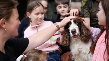 Ist ein Hund in der Schule, werden Kinder ruhiger