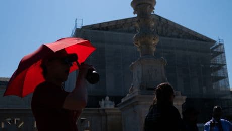 A Triumphant Supreme Court Term for Trump, Fueled by Emergency Rulings