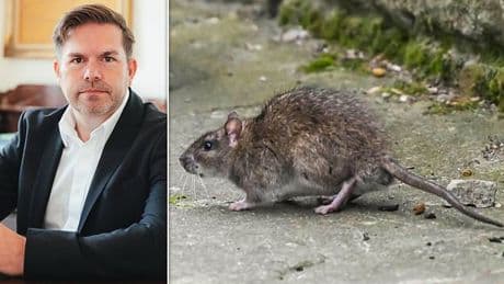 Rats are coming in from our neighbours' garden - what can I do? Lawyer DEAN DUNHAM replies