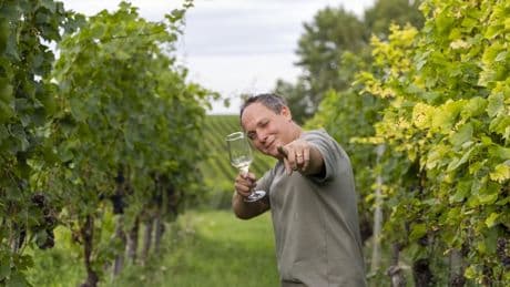 Studentisches Weingut: Premiere für gezapften Riesling von Woii