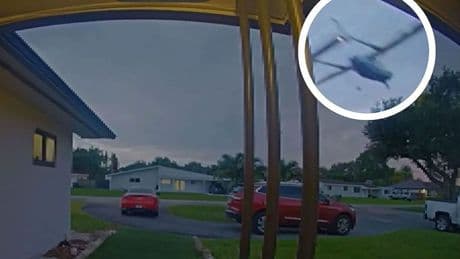 Florida: Flugzeug kracht in Baum – Familie überlebt