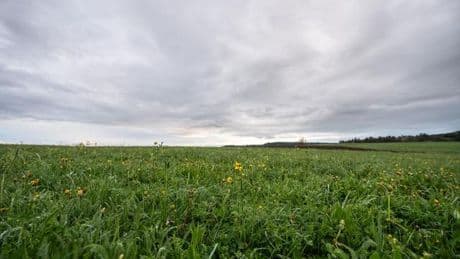 Wetter: Regen und Kaltfront nach sonnigem Start in den Mai