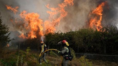 Wildfires in Madrid burn 26 horses to death as record-breaking heatwave sweeps across Europe