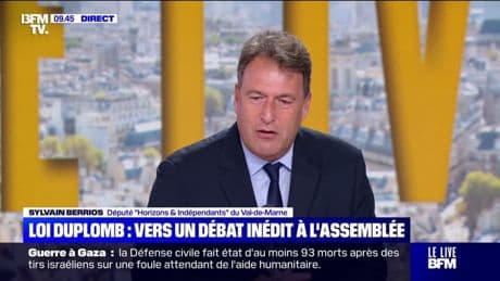 Loi Duplomb: "C'est très bien cette pétition (...) Ça va nous obliger à débattre du fond", estime Sylvain Berrios, député "Horizons" du Val-de-Marne
