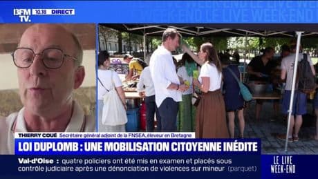 Pétition contre la loi Duplomb: "Qu'on arrête de faire peur à tout le monde", demande Thierry Coué (FNSEA)