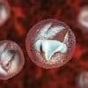 Warning signs of deadly 'crypto' parasite everyone must know - after major UK outbreak