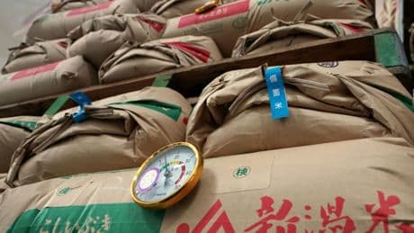 Inflation in Japan deutlich gestiegen - Reispreis im Jahresvergleich verdoppelt