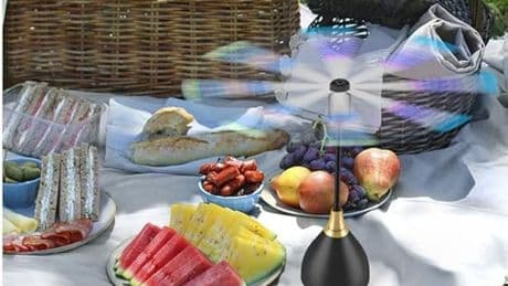 ‘Game-changing’ fly repeller saves BBQ season as shoppers rave ‘not one fly comes near food’