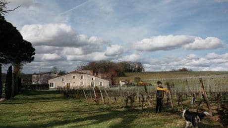 Dans le Bordelais, la désillusion des acheteurs chinois de vignobles
