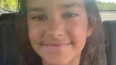 Dad claims daughter, 9, 'abducted in white van' before sinister twist