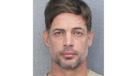 Dancing With the Stars finalist William Levy arrested on charges of trespassing and public intoxication