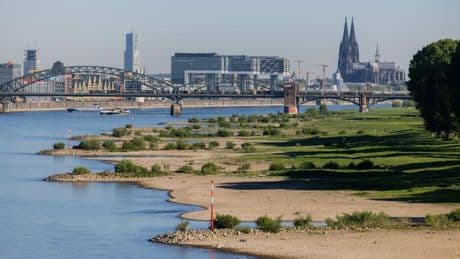 Klimawandel: Pegelstände am Rhein im April niedrig – wie geht es weiter?