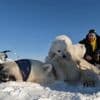 Réchauffement climatique : des scientifiques au chevet des ours et des renards polaires