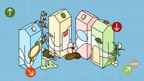 Milch vs. pflanzliche Alternativen: Ökobilanzen im Vergleich