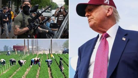 Trump admits crackdown on illegal immigrants is hurting US workforce: ‘Changes are coming’