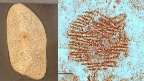 Una huella dactilar neandertal de hace 42.000 años, eje de la nueva exposición del Museo de Segovia