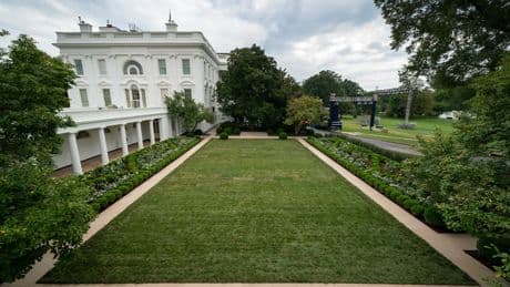 New Photos Reveal Iconic White House Rose Garden Paved Over After Trump Makeover