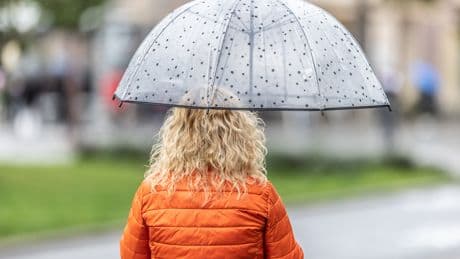 Hersteller raten davon ab: Was Sie mit einem nassen Regenschirm nicht machen sollten