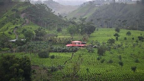 Colombie : 27 soldats libérés d’une zone-clé du narcotrafic contrôlée par une guérilla, 45 toujours otages