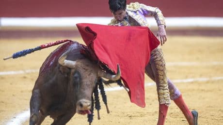 Morante on tour (VII): cómo sustituir al torero insustituible