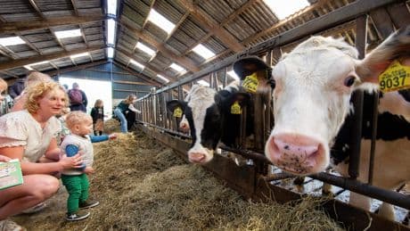 FrieslandCampina ziet winst flink groeien door prijsverhogingen en besparingen, maar heeft ook last van de sterke euro