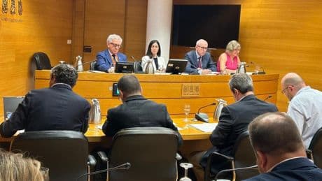 Vox cree “más procedente” empezar la comisión de la dana con técnicos que con las víctimas