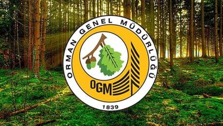 OGM, orman yangınlarından sonra yapılan çalışmaları açıkladı