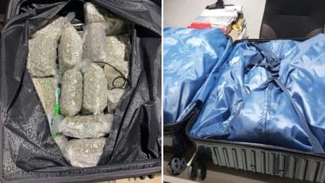 Two Brits busted for cannabis smuggling within hours of each at same airport