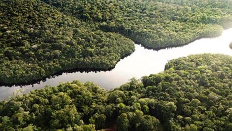 „Pornosüchtig“ – Amazonas-Stamm verklagt „New York Times“